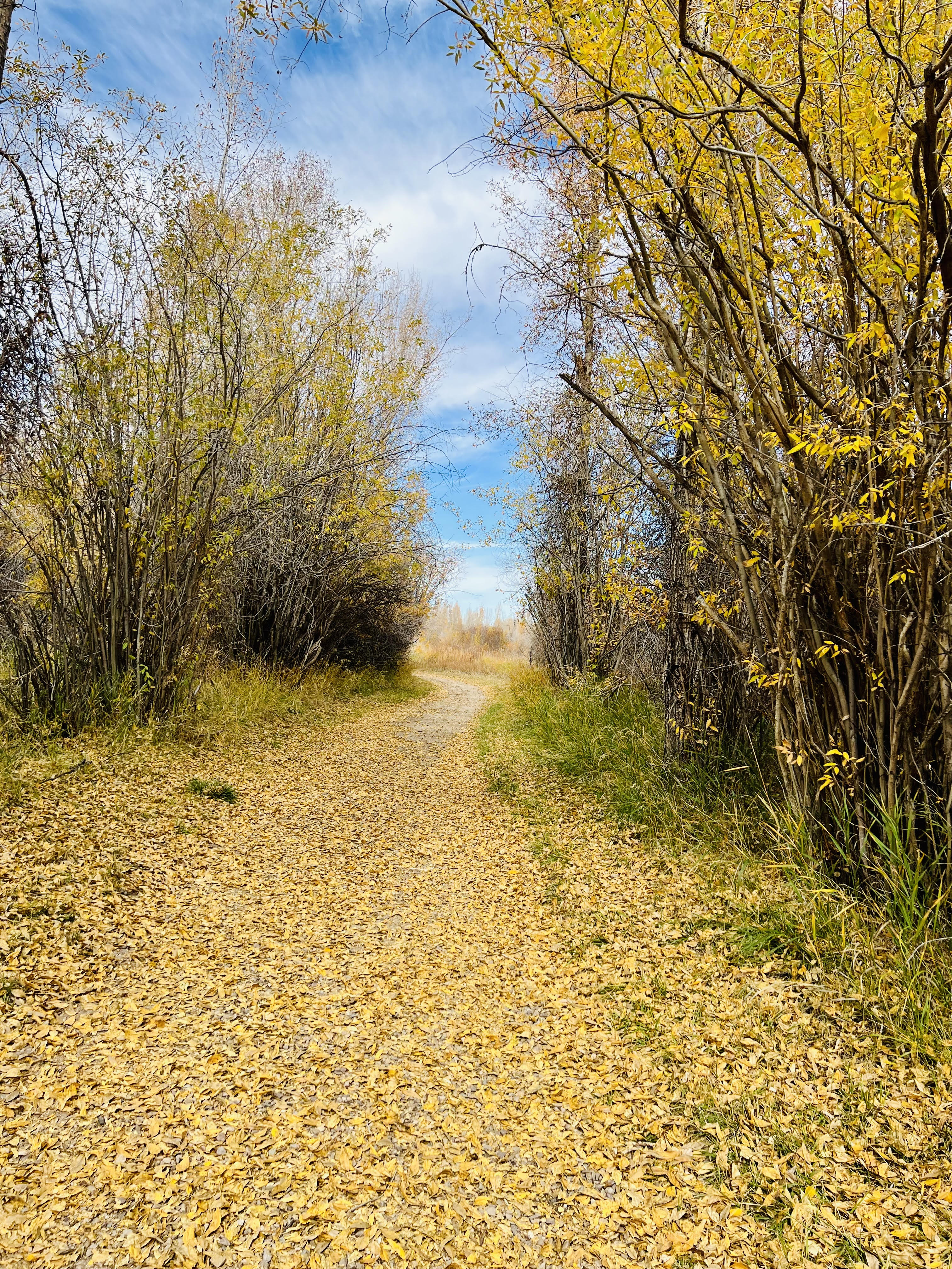 Bear River, Evanston Wyoming
