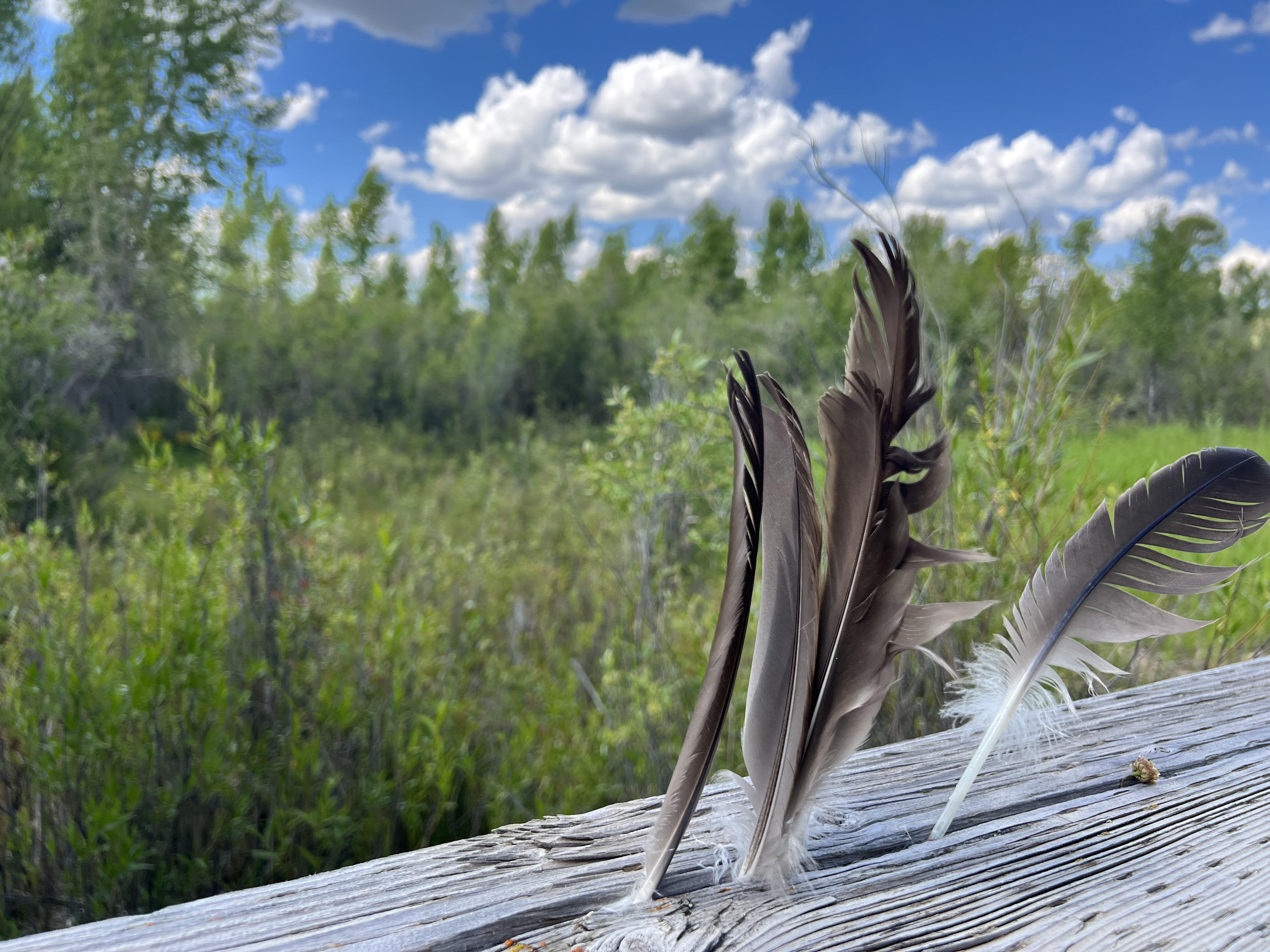 Bear River, Evanston, Wyoming