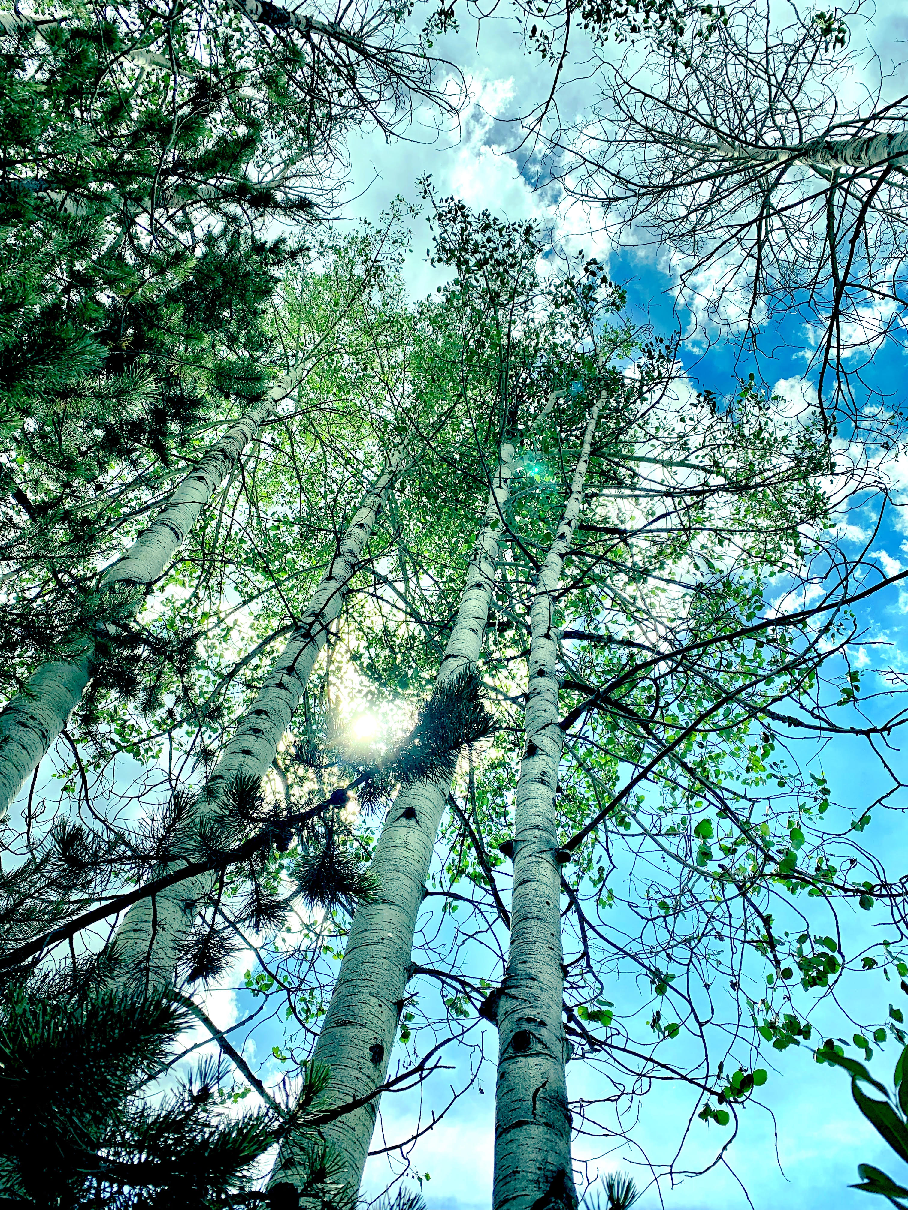 Uinta Mountains, Utah