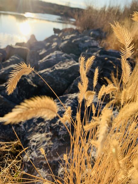 Bear River, Evanston, WY